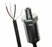 Obraz P51-100-S-B-I36-5V-000-000.