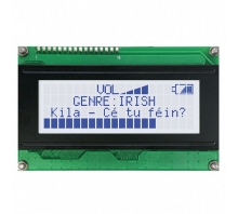 Obraz LK204-25-USB-GW-E.