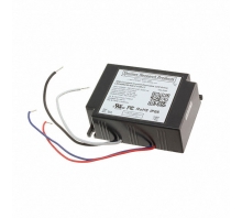 Obraz LED40W230-036-C1100-LT.