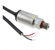 Obraz P51-1500-A-AA-I12-5V-000-000.