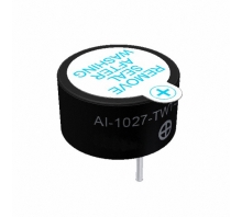 Obraz AI-1027-TWT-5V-R.