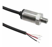 Obraz P51-50-A-B-I36-5V-000-000.