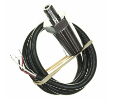 Obraz P51-15-S-UB-I36-4.5V-000-000.