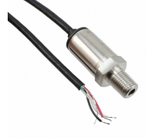 Obraz P51-3-G-UC-I36-5V-000-000.