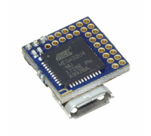 Obraz CS-UDUINO-01.