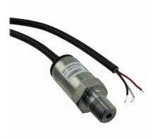 Obraz P51-1000-S-A-I36-4.5V-000-000.