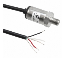 Obraz P51-100-G-B-I36-4.5V-000-000.