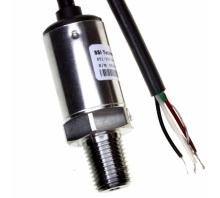 Obraz P51-300-G-A-I36-5V-000-000.