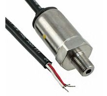 Obraz P51-100-S-B-I36-4.5V-000-000.